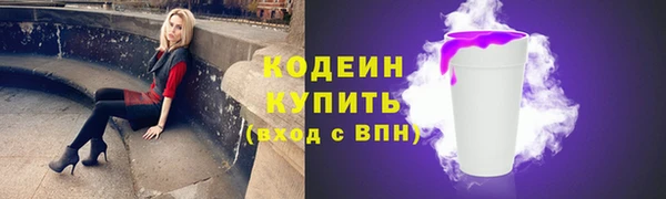 спиды Рославль
