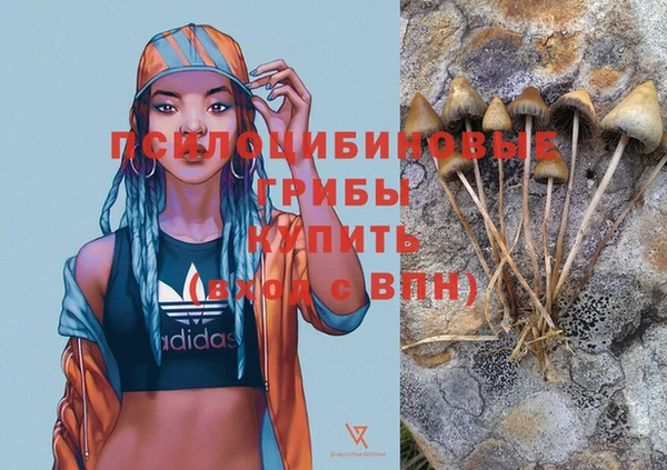 альфа пвп Володарск
